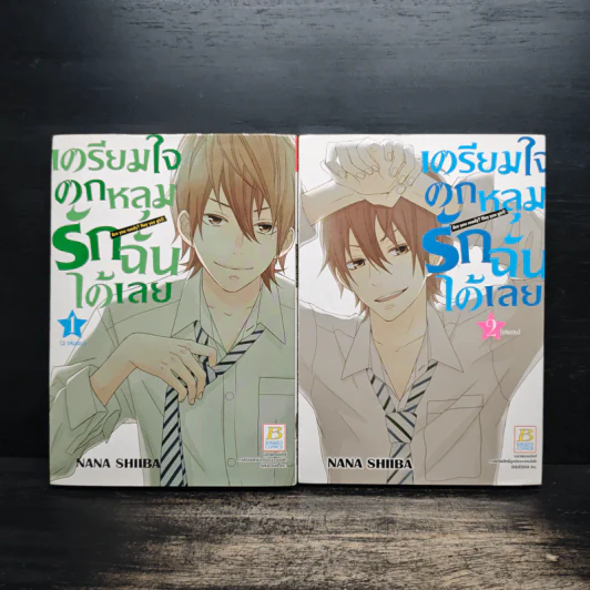 เตรียมใจตกหลุมรักฉันได้เลย 2 เล่มจบ รูปที่ 1