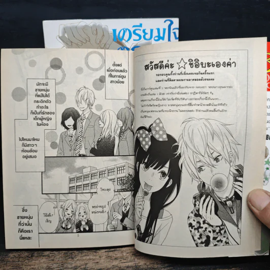 เตรียมใจตกหลุมรักฉันได้เลย 2 เล่มจบ รูปที่ 8