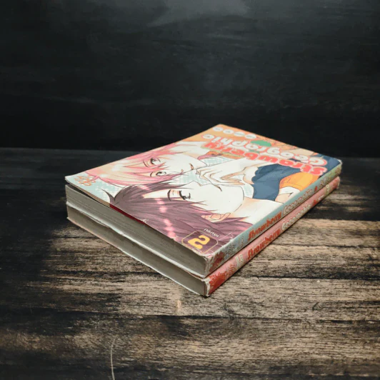 Strawberry Geographic 2 เล่มจบ รูปที่ 5