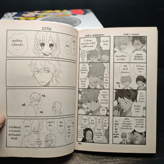 ยัยหมาป่ากับเจ้าชายเย็นชา 16 เล่มจบ (ขาดเล่ม 12,13) - Ayuko Hatta รูปที่ 10