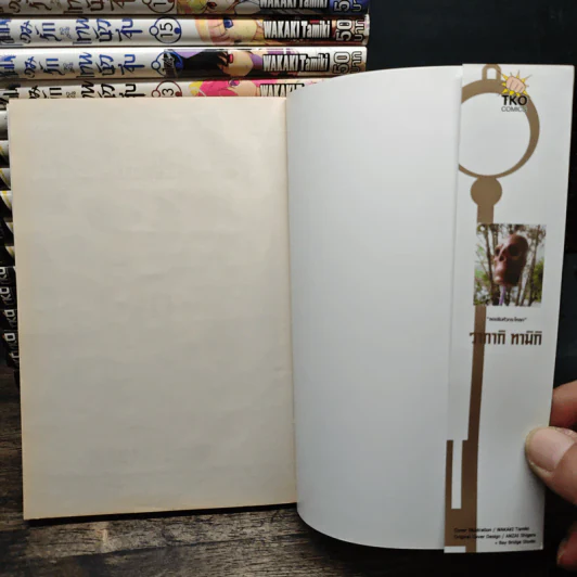 เซียนเกมรักขอเป็นเทพนักจีบ เล่ม 1-20 รูปที่ 5