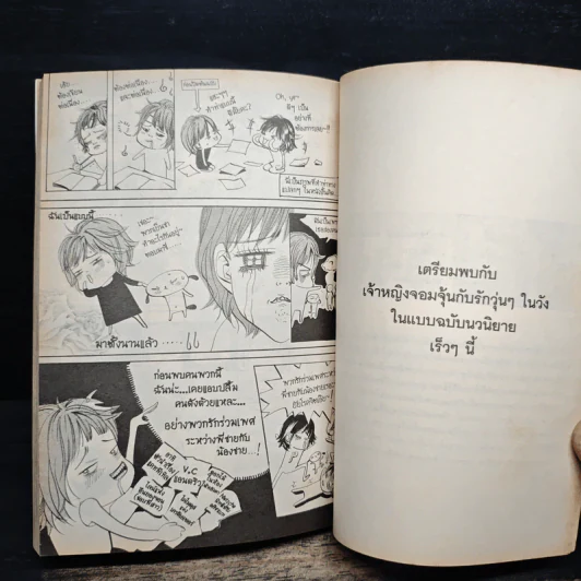 การ์ตูน เจ้าหญิงจอมจุ้นกับรักวุ่นๆในวัง 3 รูปที่ 8