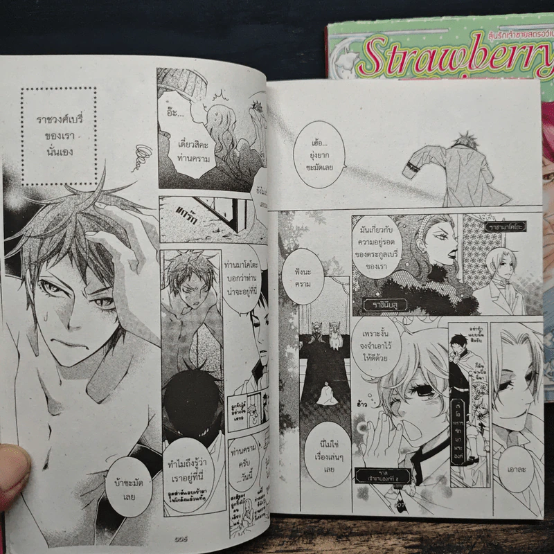 Strawberry Prince 2 เล่มจบ รูปที่ 8