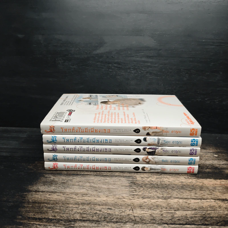 โลกทั้งใบมีเพียงเธอ เล่ม 1-5 - Rie Aruga รูปที่ 2