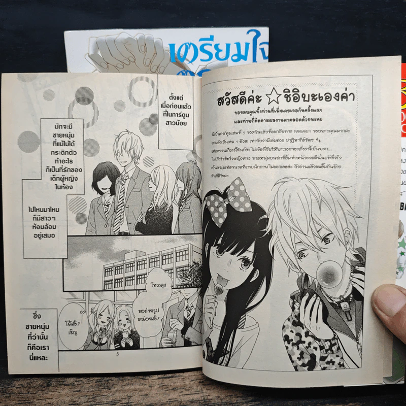 เตรียมใจตกหลุมรักฉันได้เลย 2 เล่มจบ รูปที่ 8