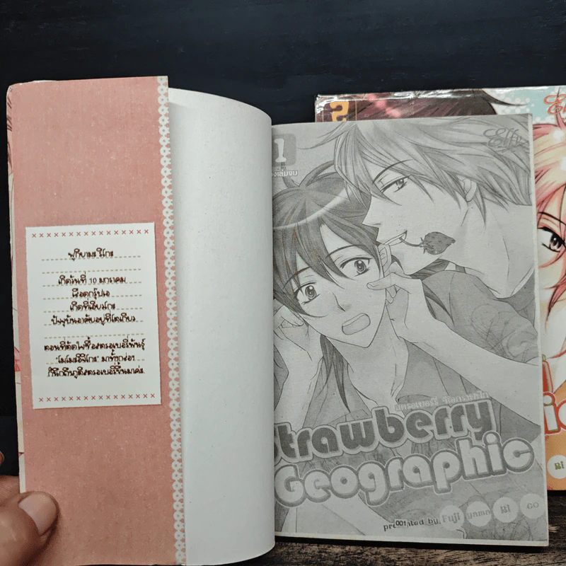 Strawberry Geographic 2 เล่มจบ รูปที่ 6