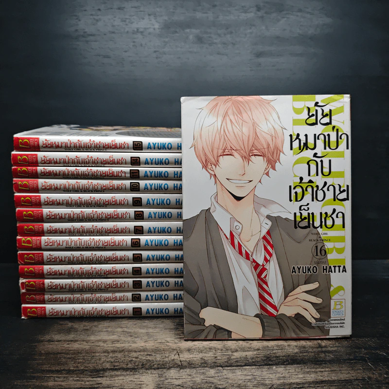 ยัยหมาป่ากับเจ้าชายเย็นชา 16 เล่มจบ (ขาดเล่ม 12,13) - Ayuko Hatta รูปที่ 1