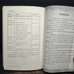 มัมมี่ ชีวิตหลังความตาย - Dinosaur (เด็ก) รูปที่ 10