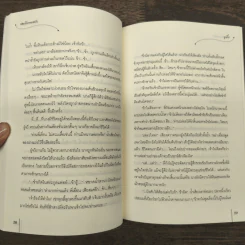 จอมโจรพยศรัก ชุด หญิงงามจำแลงรัก - หูเตี๋ย รูปที่ 8