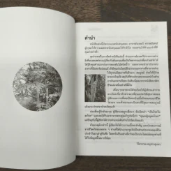 นาฬิกาชีวิต ตอน 2 มะรุม ต้นไม้เพื่อชีวิต รูปที่ 6