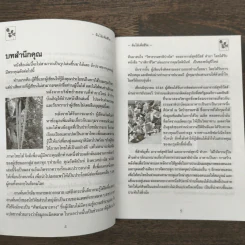 นาฬิกาชีวิต ตอน 2 มะรุม ต้นไม้เพื่อชีวิต รูปที่ 7