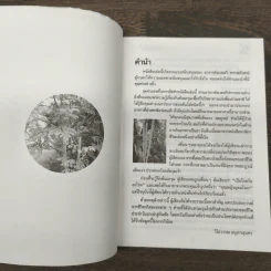 นาฬิกาชีวิต ตอน 2 มะรุม ต้นไม้เพื่อชีวิต - วิไลวรรณ อนุสารสุนทร รูปที่ 6