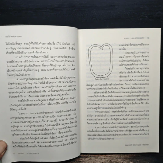 มัมมี่ ชีวิตหลังความตาย - Dinosaur (เด็ก) รูปที่ 9