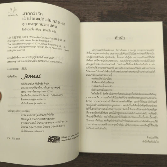 เฝ้าเรือนแม่ทัพไม่เหลียวแล - ไช่เสี่ยวเชวี่ย รูปที่ 6