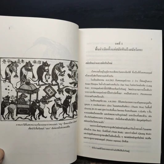 เวียดนาม: ประวัติศาสตร์ฉบับพิสดาร - เหวียนคักเวียน รูปที่ 9
