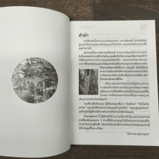 นาฬิกาชีวิต ตอน 2 มะรุม ต้นไม้เพื่อชีวิต รูปที่ 6