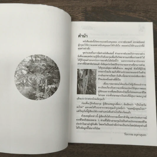 นาฬิกาชีวิต ตอน 2 มะรุม ต้นไม้เพื่อชีวิต - วิไลวรรณ อนุสารสุนทร รูปที่ 6