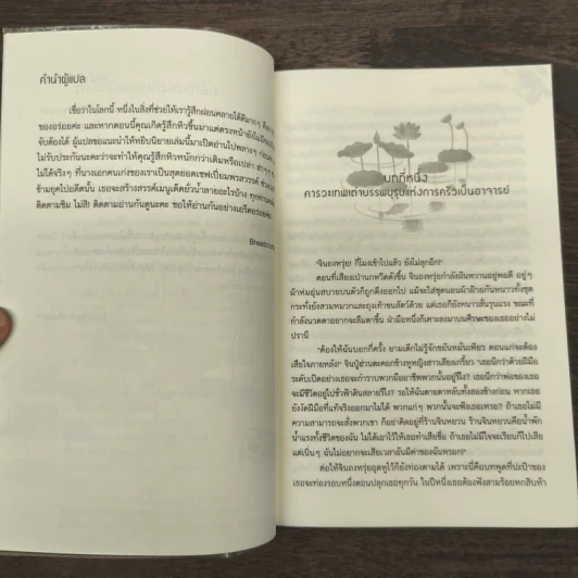 ตำรับรักชายากระทะเหล็ก - เจี่ยนอิง รูปที่ 7