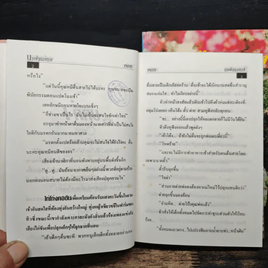 นางฟ้าหลงทาง 2 เล่มจบ - วรการ รูปที่ 6