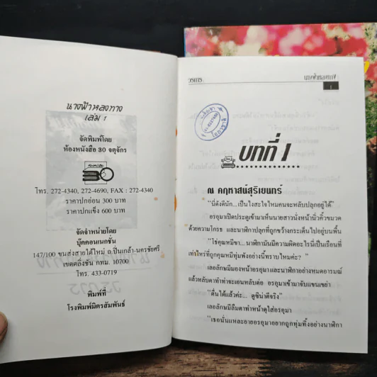 นางฟ้าหลงทาง 2 เล่มจบ - วรการ รูปที่ 5