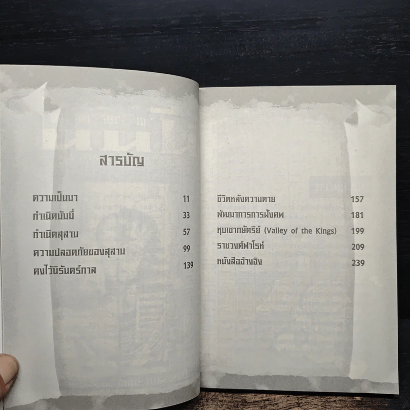 มัมมี่ ชีวิตหลังความตาย - Dinosaur (เด็ก) รูปที่ 7
