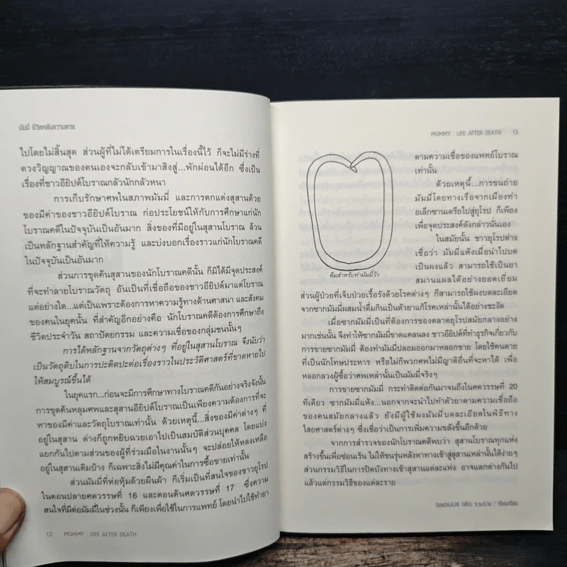 มัมมี่ ชีวิตหลังความตาย - Dinosaur (เด็ก) รูปที่ 9