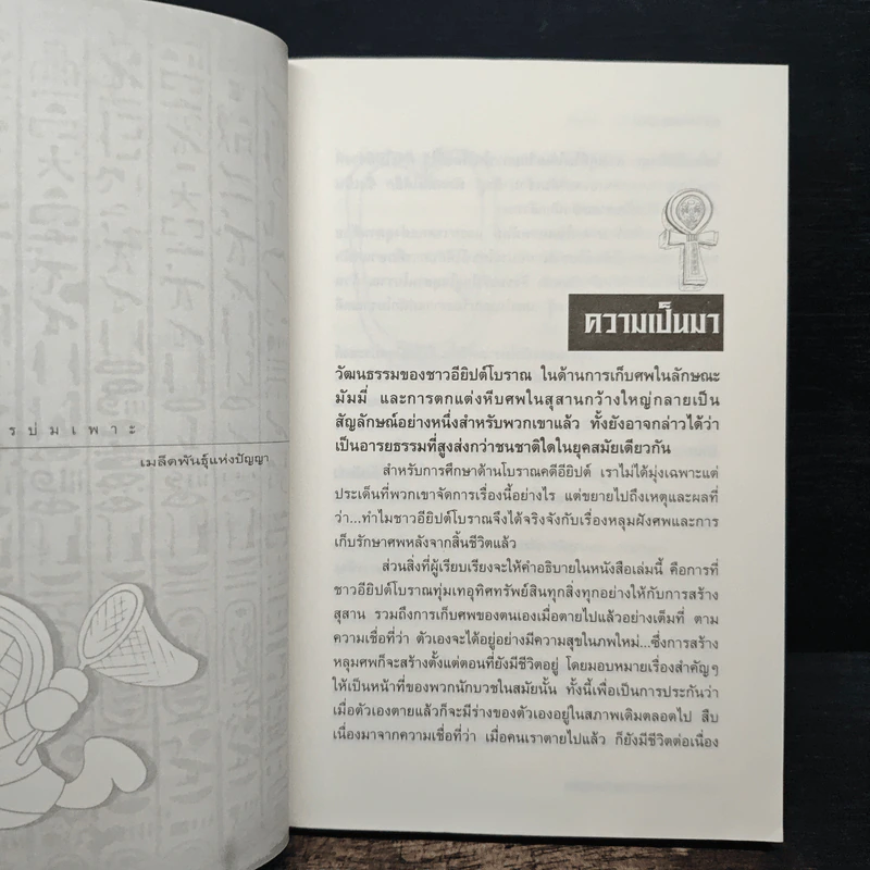 มัมมี่ ชีวิตหลังความตาย - Dinosaur (เด็ก) รูปที่ 8