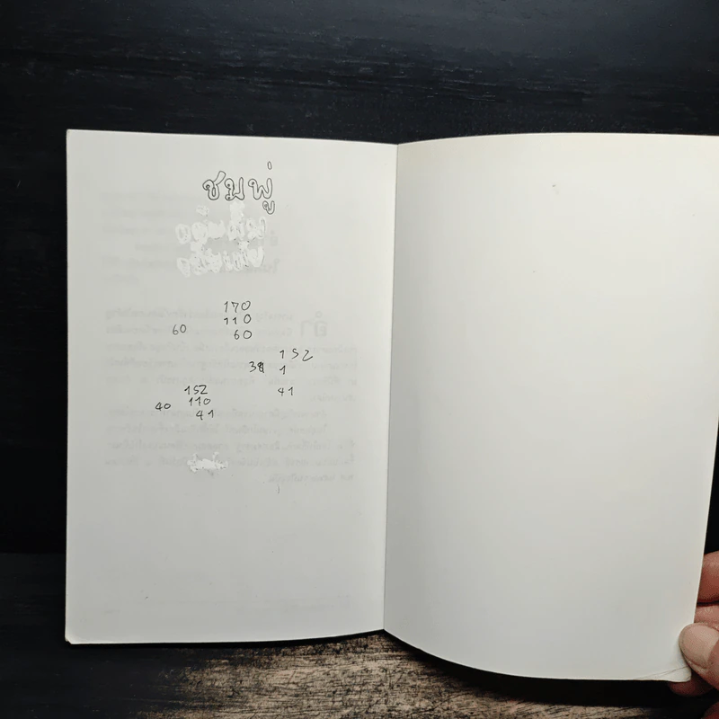 ประวัติเมืองสยามในอดีต - พิชญพิทักษ์ รูปที่ 12