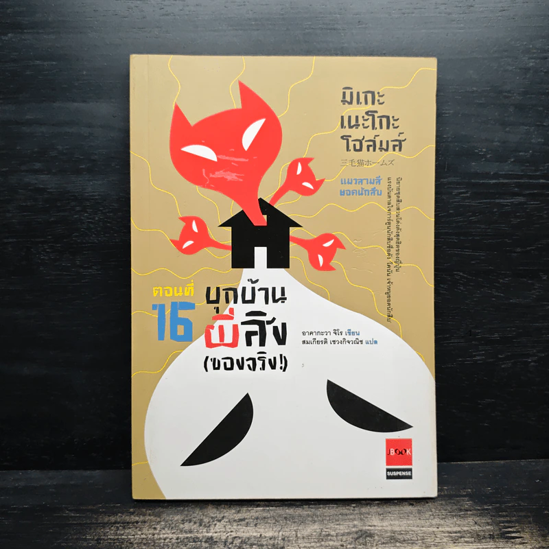 มิเกะเนะโกะ โฮล์มส์ : แมวสามสียอดนักสืบ ตอน 16 บุกบ้านผีสิง (ของจริง) รูปที่ 1