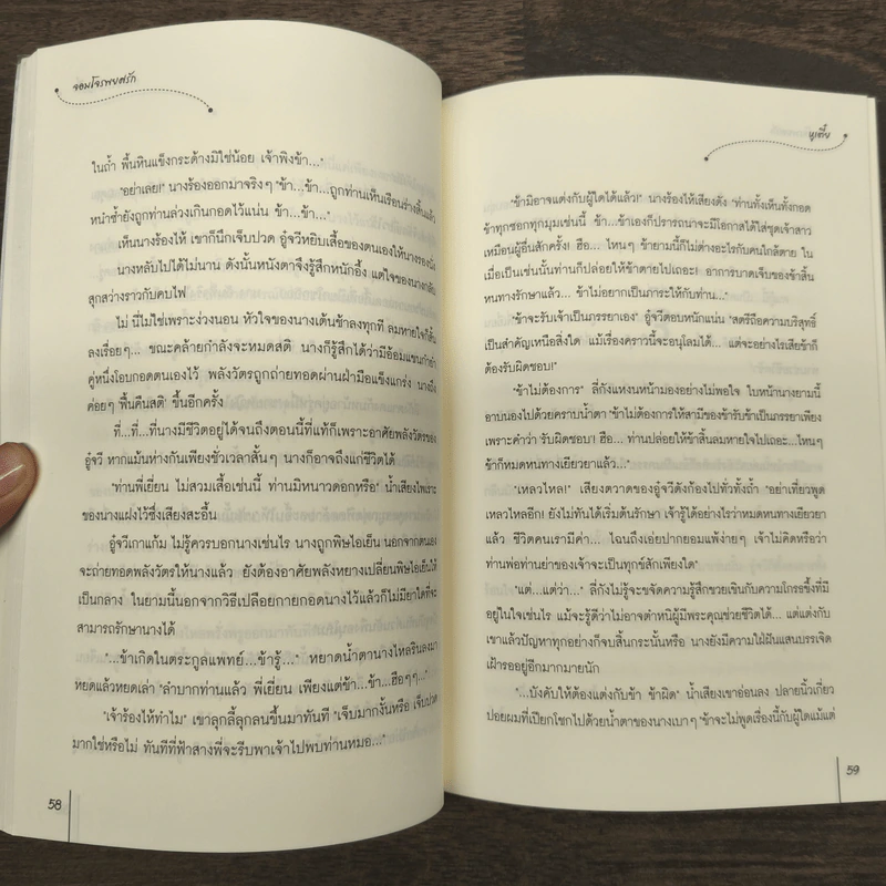 จอมโจรพยศรัก ชุด หญิงงามจำแลงรัก - หูเตี๋ย รูปที่ 8
