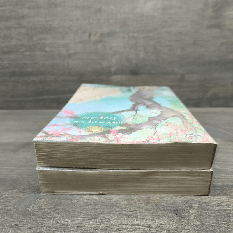 แม่ทัพอยู่บน ข้าอยู่ล่าง เล่ม 1-2 - จวี๋ฮวาซั่นหลี่ รูปที่ 4