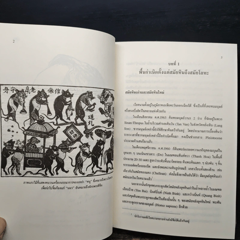 เวียดนาม: ประวัติศาสตร์ฉบับพิสดาร - เหวียนคักเวียน รูปที่ 9