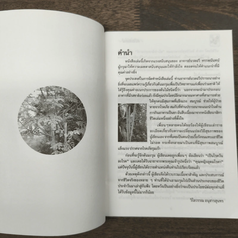 นาฬิกาชีวิต ตอน 2 มะรุม ต้นไม้เพื่อชีวิต รูปที่ 6