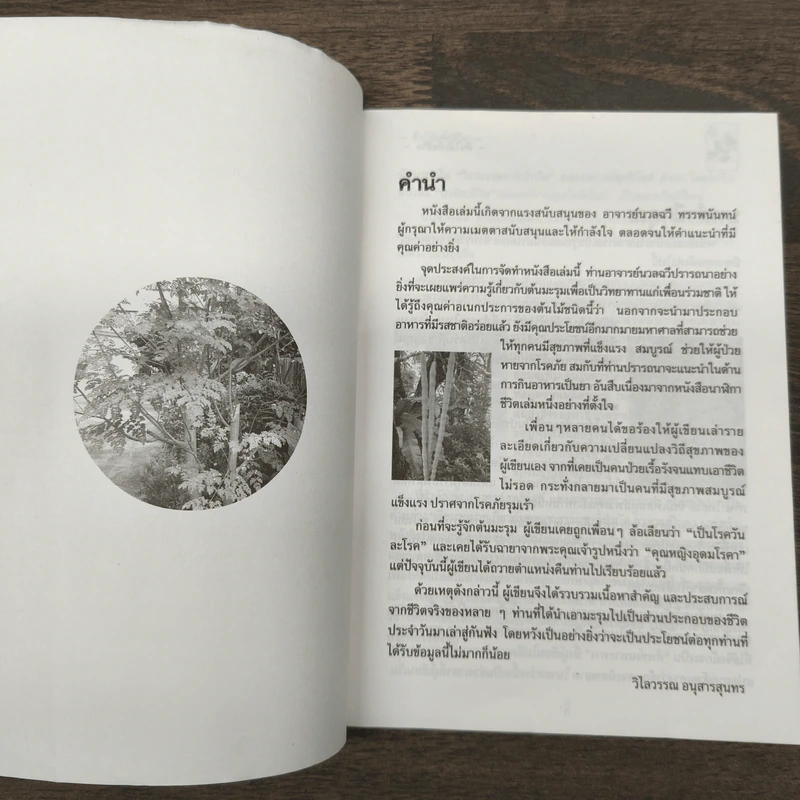 นาฬิกาชีวิต ตอน 2 มะรุม ต้นไม้เพื่อชีวิต - วิไลวรรณ อนุสารสุนทร รูปที่ 6