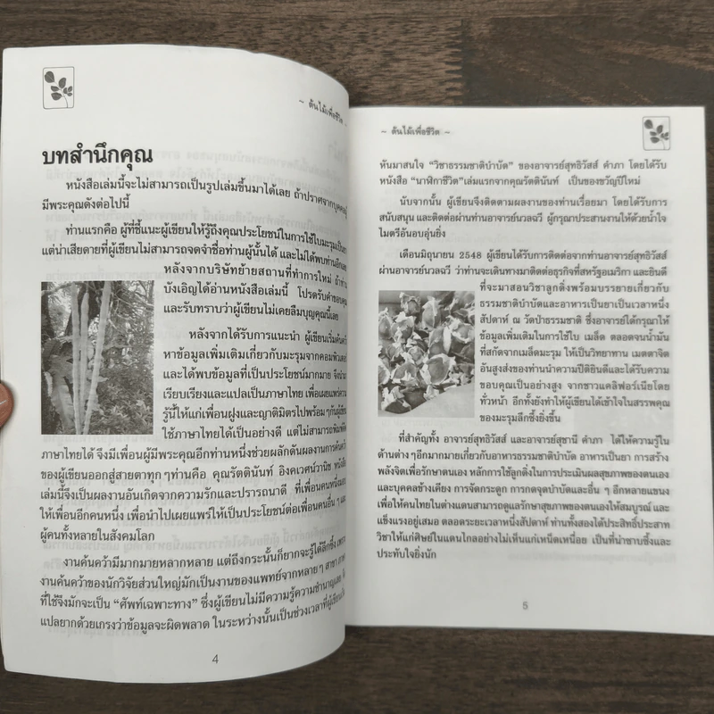 นาฬิกาชีวิต ตอน 2 มะรุม ต้นไม้เพื่อชีวิต - วิไลวรรณ อนุสารสุนทร รูปที่ 7