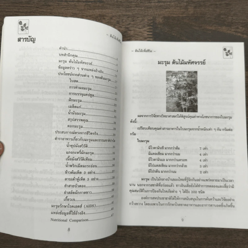 นาฬิกาชีวิต ตอน 2 มะรุม ต้นไม้เพื่อชีวิต - วิไลวรรณ อนุสารสุนทร รูปที่ 8