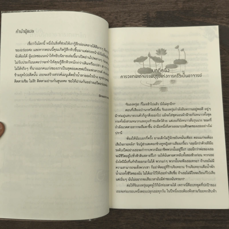 ตำรับรักชายากระทะเหล็ก - เจี่ยนอิง รูปที่ 7