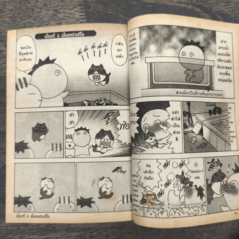 ผมกับเมี้ยวหง่าว เล่ม 1 - Karasawa Nawoki รูปที่ 8