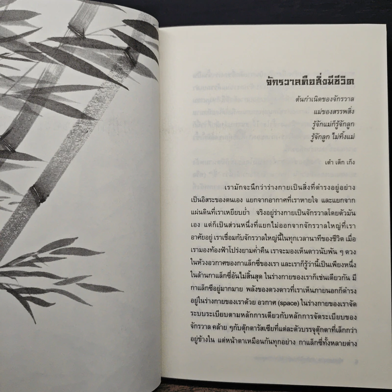เต๋าแห่งสุขภาพ ปาฏิหาริย์แห่งการฟังร่างกายอยู่เสมอ - ปิซง กัว, แอนดรู พาวเอ็ล รูปที่ 10