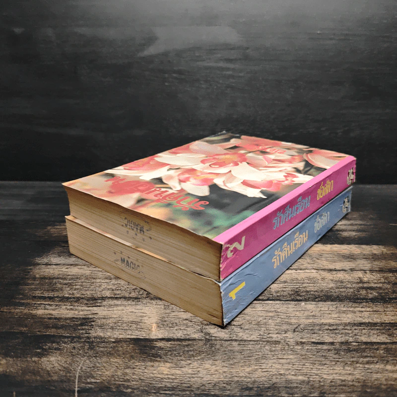 รักคืนเรือน 2 เล่มจบ - ช่อลัดา รูปที่ 5