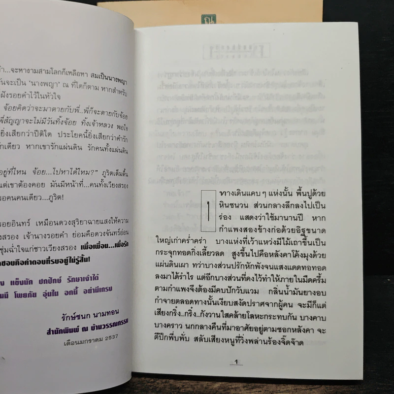 โสมส่องแสง 2 เล่มจบ - โรสลาเรน รูปที่ 7