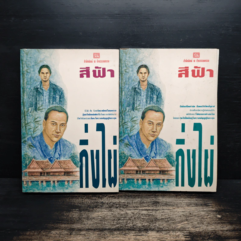กิ่งไผ่ 2 เล่มจบ - สีฟ้า รูปที่ 1