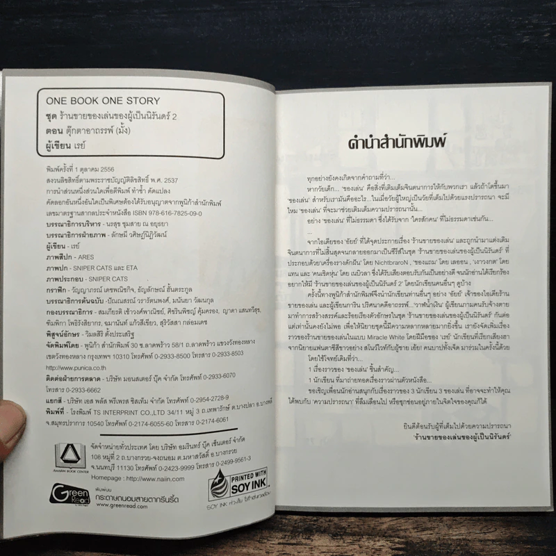 ตุ๊กตาอาถรรพ์ (มั้ง!) - เรย์ รูปที่ 6