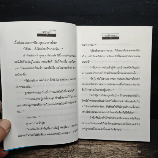 จอมใจจอมแก่น - เพชรลดา รูปที่ 7