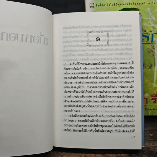เมื่อหมอกสลาย+ที่นี่ไม่มีรัก - ม.มธุการี รูปที่ 7