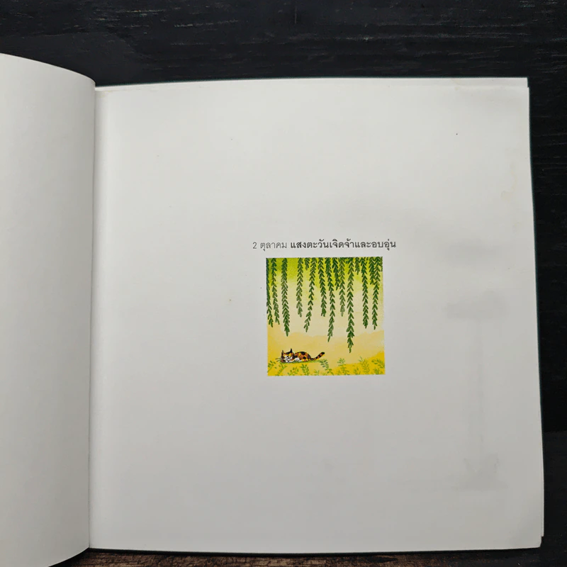 ดวงตะวันส่องฉาย (ผู้หญิงเลี้ยวซ้าย ผู้ชายเลี้ยวขวา) - Jimmy Liao, ปราย พันแสง รูปที่ 7