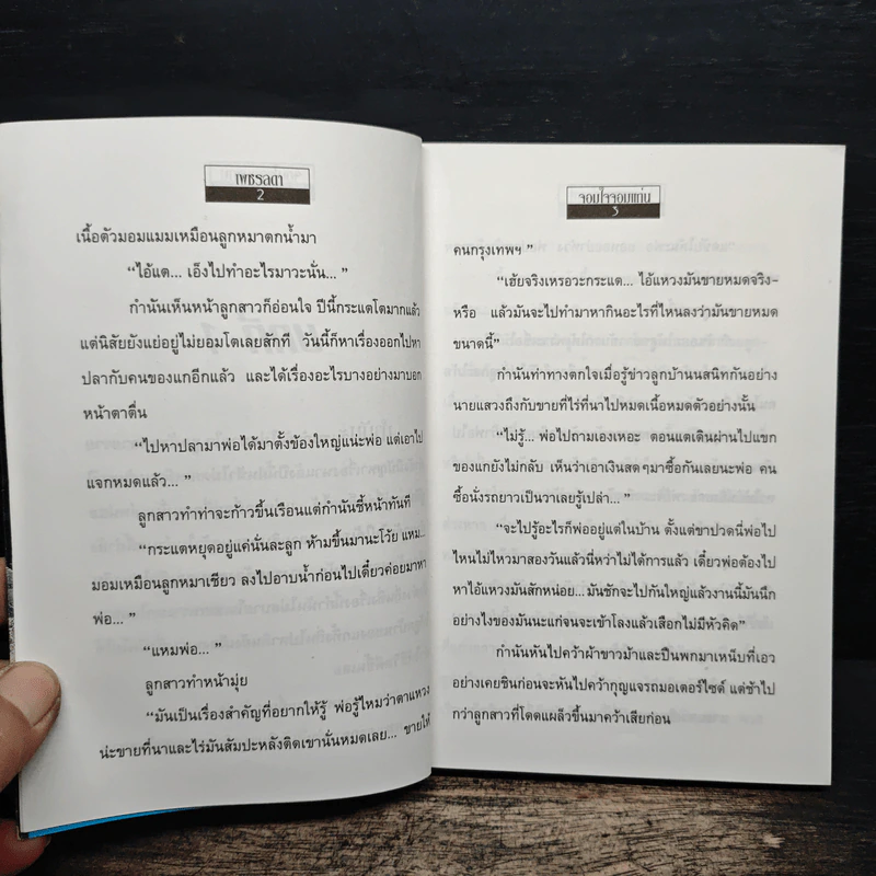 จอมใจจอมแก่น - เพชรลดา รูปที่ 7