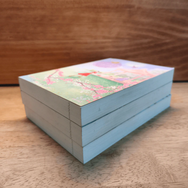 Box Set แม่ทัพอยู่บน ข้าอยู่ล่าง 3 เล่มจบ - จวี๋ฮวาซั่นหลี่ รูปที่ 5
