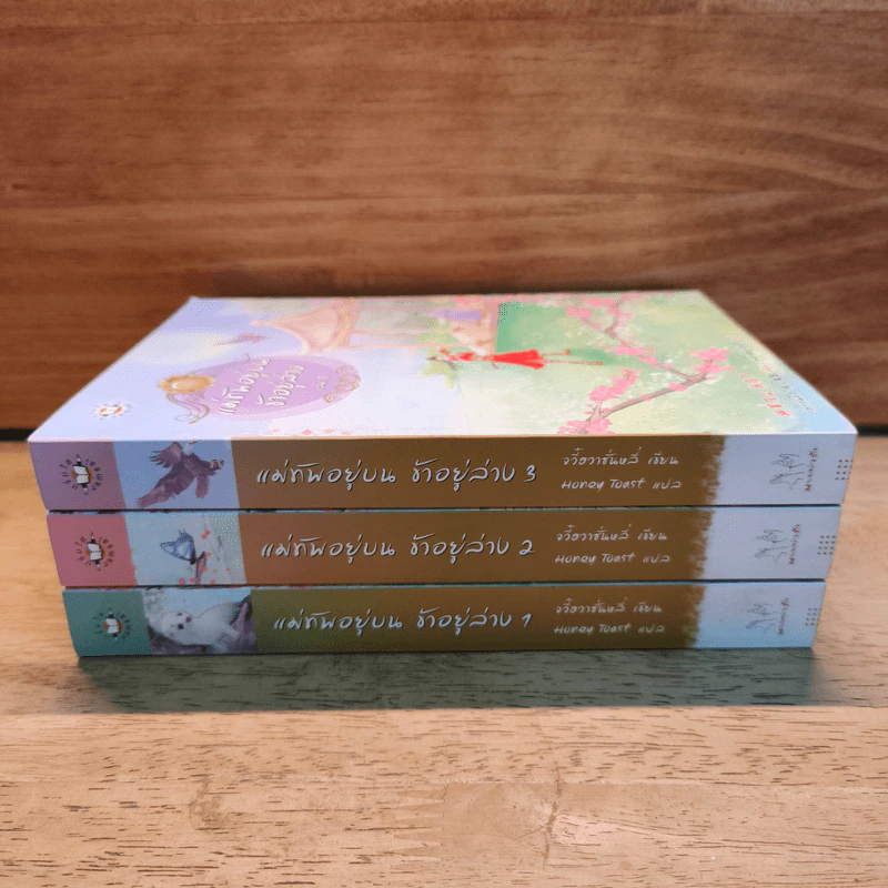 Box Set แม่ทัพอยู่บน ข้าอยู่ล่าง 3 เล่มจบ - จวี๋ฮวาซั่นหลี่ รูปที่ 4