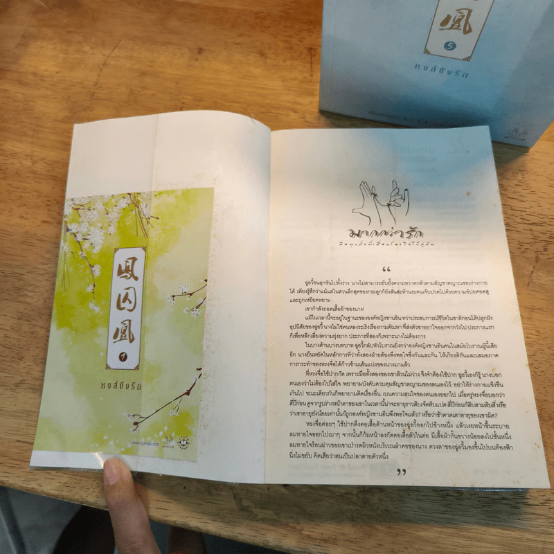 Box Set หงส์ขังรัก 5 เล่มจบ - Tian Yi You Feng (เทียนอีโหย่วเฟิง) เขียน, พริกหอม รูปที่ 6